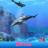 Diver. Find objects