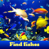 Find fishes. Find objects