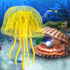 Jellyfish – Sea puzzle