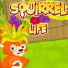 Squirrel Life