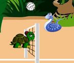 Jungle Volleyball 2 player