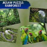 Jigsaw Puzzle Rain Forest